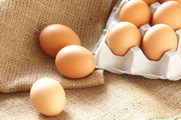 Chicken brown eggs