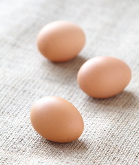 Chicken brown eggs
