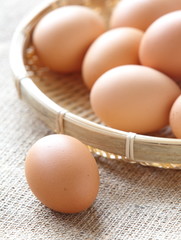 Chicken brown eggs