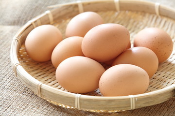 Chicken brown eggs