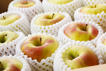 出荷されるりんご