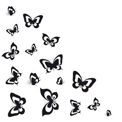 Fototapeta premium butterflies design