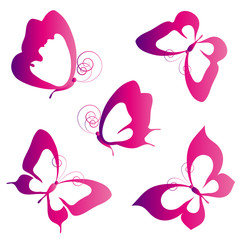 butterflies design