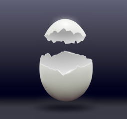 Obraz premium egg split in half on a dark background