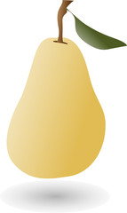 pear isolated color