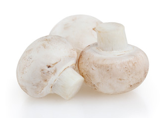 Mushrooms isolated on white background with clipping path