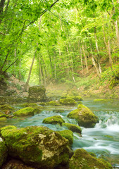 Obraz premium mountain river