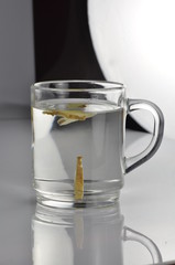 Selbstgemachter Ingwertee