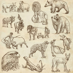 Animals around the World (set no. 4) - full sized drawings