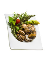 Escargot with asparagus, rosemary, thymus and tomato