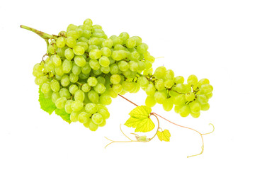 Green bright grape