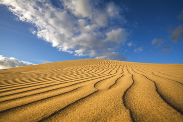 sand dunes