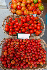 Mediterranean tomatoes in Balearic Islands market