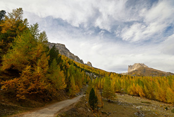 Autumn in an alpine valley