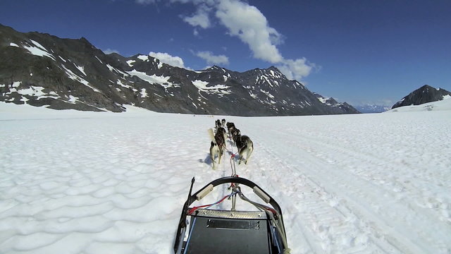 POV dogsledding remote Chugach Mountains, Alaska, 