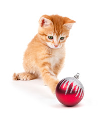 Cute Orange Kitten Playing with a Christmas Ornament on White