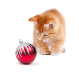 Fototapeta na wymiar Cute Orange Kitten Playing with a Christmas Ornament on White