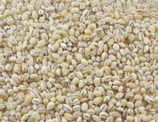 close up of yellow millet food background