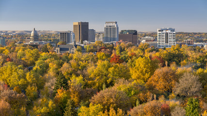 City of trees in full autumn color with the Capital
