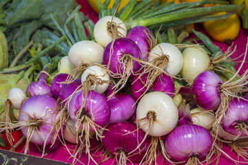 Colorful onions at a farmers market
