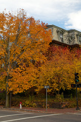 New England Fall Foliage