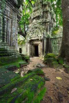 Temple Ta Prohm, Cambodge, Siem Reap