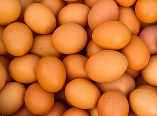 Chicken eggs