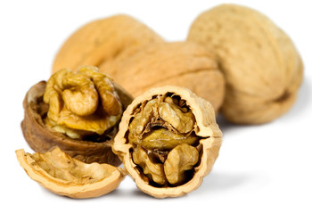 Brown greek nut