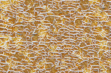 Melon macro pattern.