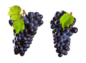 Red wine grapes isolated on white background