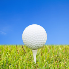 Golf ball on green grass field