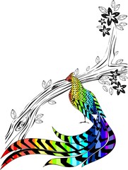 Pheasant painted in the colors of the rainbow