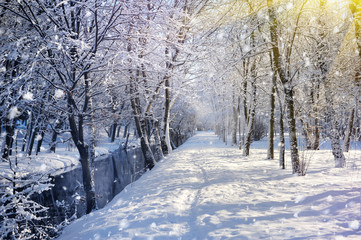 Beautiful winter landscape with the river