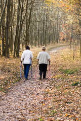 Fototapeta premium starsze kobiety uprawiające nordic walking, jesienny las
