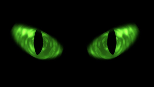  Animation of cat eyes blinking. 