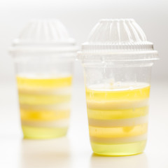 fruit jelly