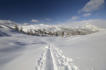 Fototapeta na wymiar Ski tracks in powder snow