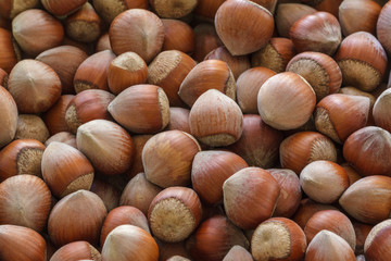 Hazelnut