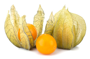 Physalis fruit isolated on white background