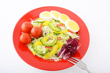 野菜たっぷり　ゴーヤーサラダ