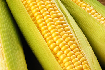 corn cob