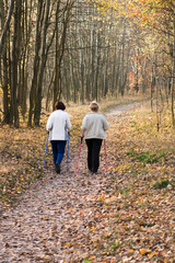 Fototapeta premium starsze kobiety uprawiające nordic walking, jesienny las