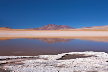 Bolivia - Laguna Hedionda