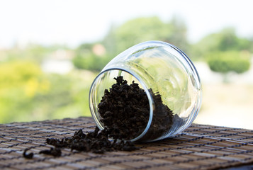 Oolong green tea leaves in a glass cup on a bamboo mat