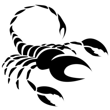 Black Scorpio Zodiac Star Sign