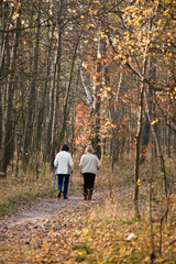Fototapeta premium starsze kobiety uprawiające nordic walking, jesienny las