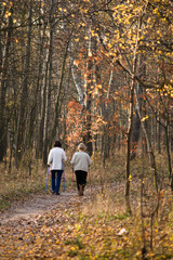 Fototapeta premium starsze kobiety uprawiające nordic walking, jesienny las