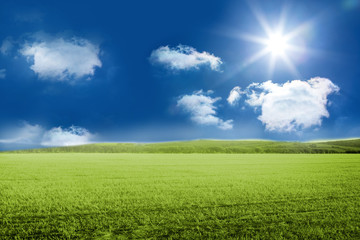 Obraz premium Sunny green landscape