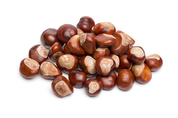 Autumn - Bunch of Chestnuts - Isolated on White