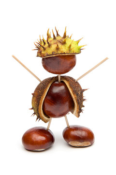 Fototapeta Autumn - Cute little Chestnut Man - Isolated on White